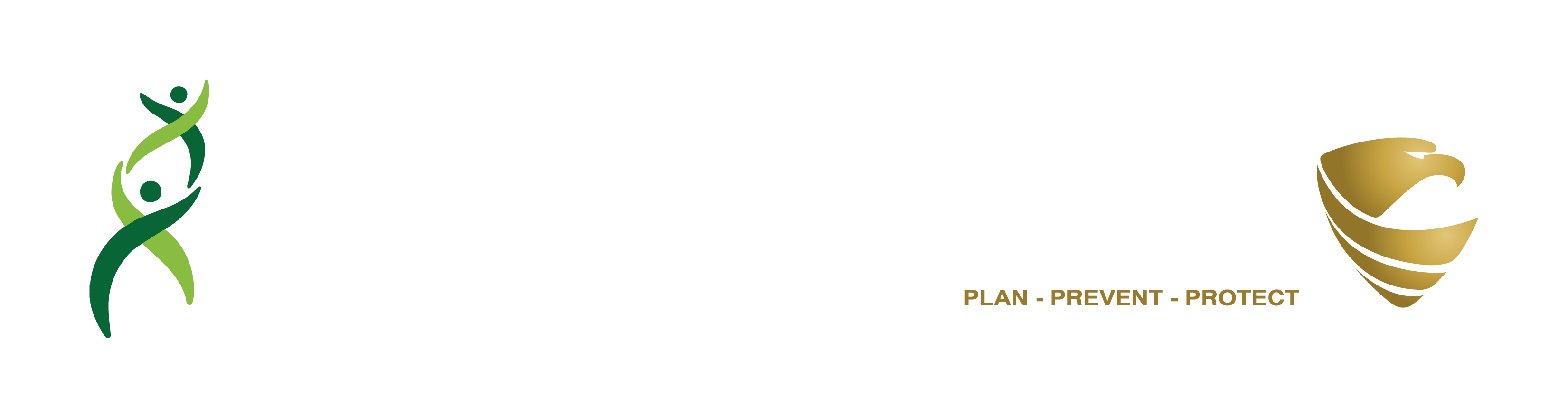 NPN & Kalbe Logo